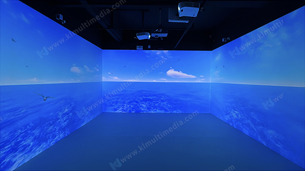 Olas del mar y p&aacute;jaros volando.