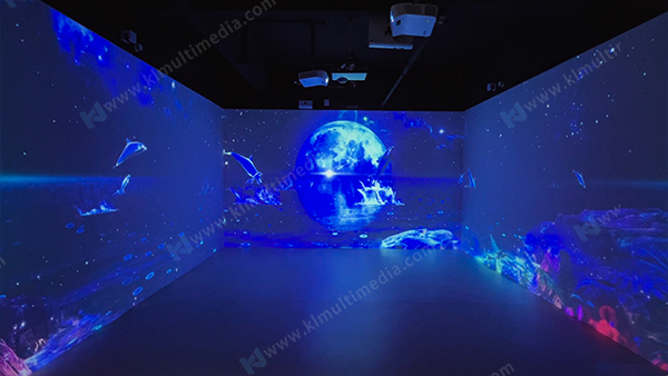 Delf&iacute;n de la noche estrellada