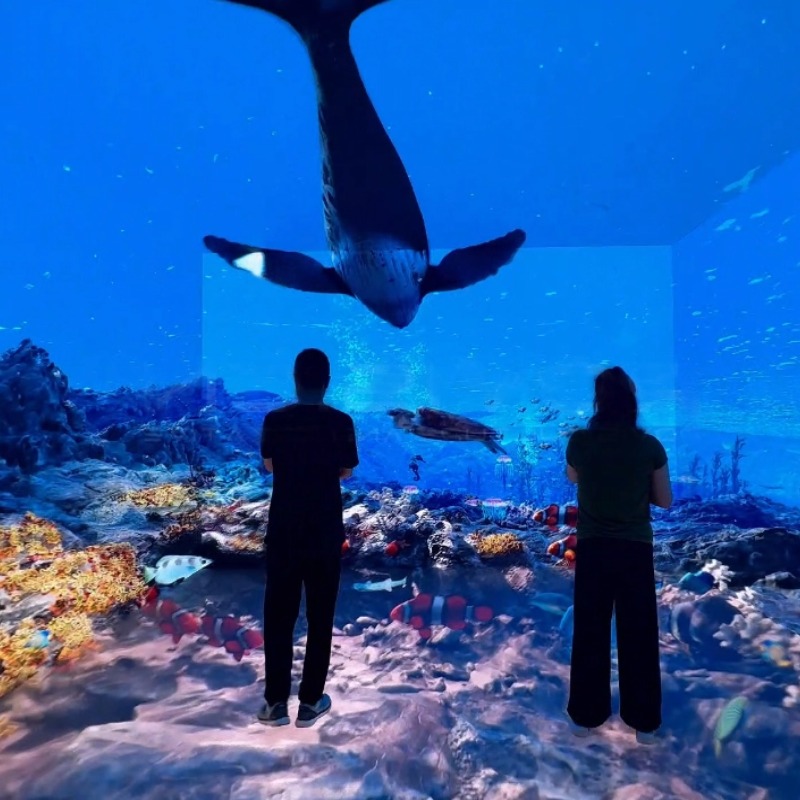 Proyector de holograma 