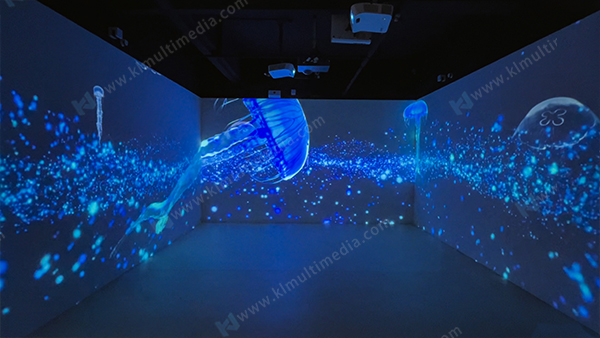 Medusas de ensue&ntilde;o