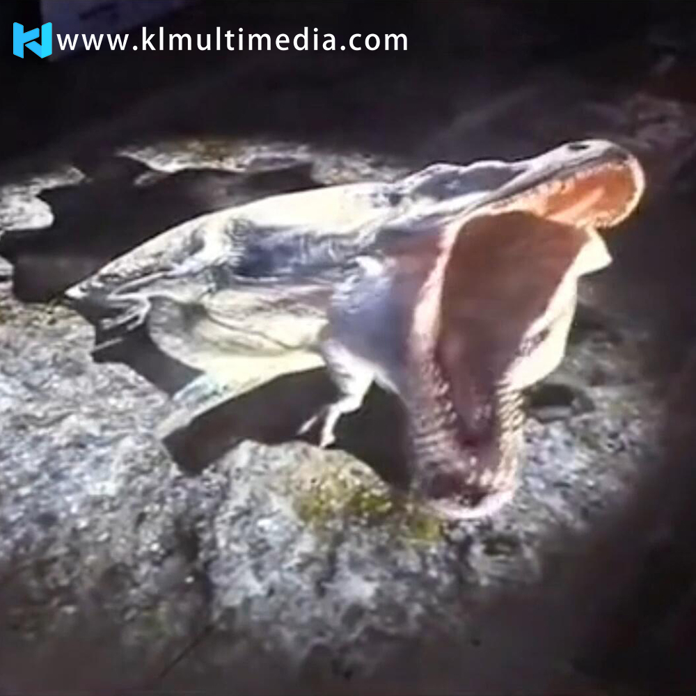 Experiencia inmersiva en dinosaurios