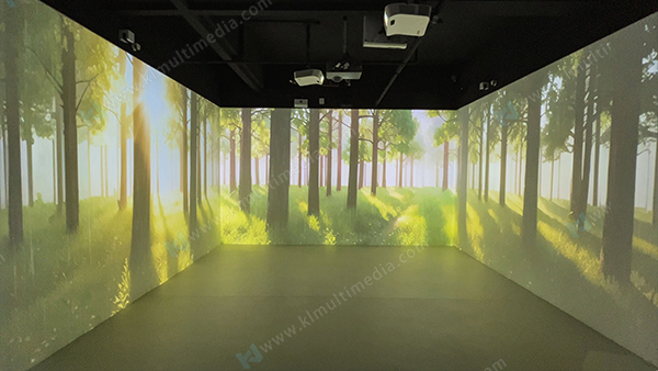 Escena de lluvia del bosque